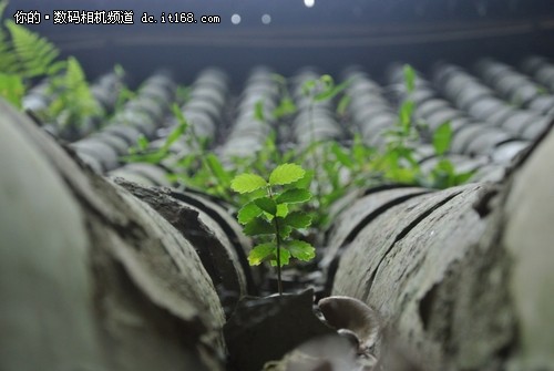 有了翻转屏，拍一些特殊位置的画面就变得方便许多