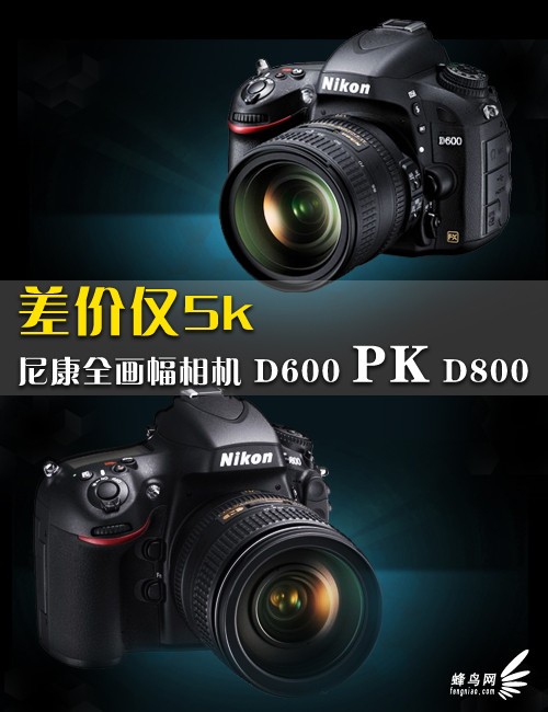 差价仅5k 尼康全画幅相机D600 PK D800