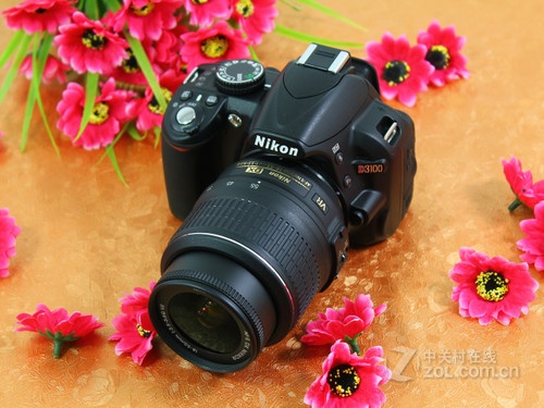 ͼΪ῵D3100