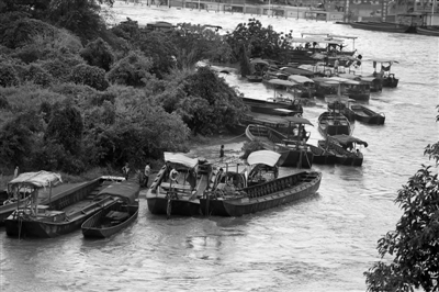 29日，在中越界河北仑河上，众多船舶停航躲避洪水。强降雨致北仑河山洪暴发，造成中方70艘船舶失踪。新华社发
