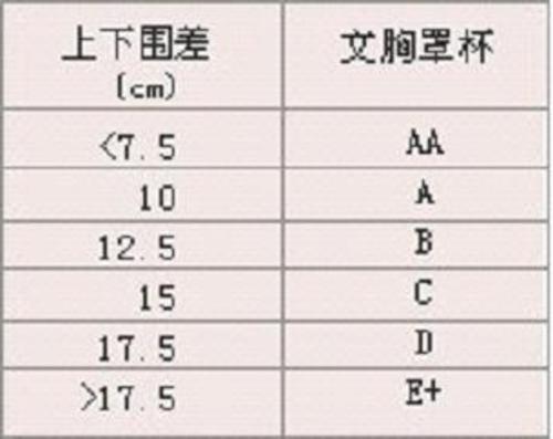 胸罩怎麼分大小