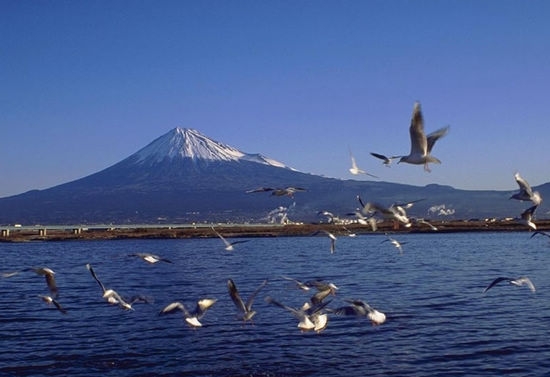 日本是東亞一個由本州,四國,九州,北海道四個大島及3900多個小島組成