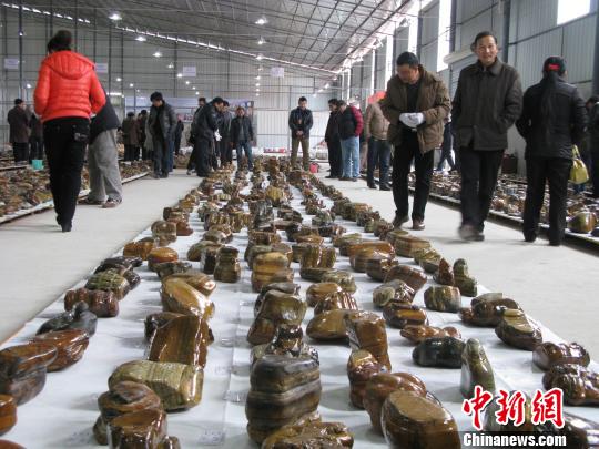12月30 日,国内首届奇石公盘交易会在广西柳州赏石市场鸣锣开盘