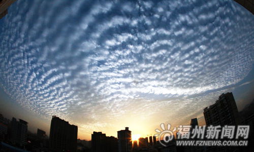 網傳福州現地震雲 氣象部門稱是透光高積雲(圖)