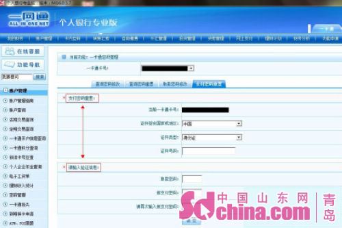 招商銀行的同一賬戶,同一時間,在招行個人網銀專業版和大眾版顯示的