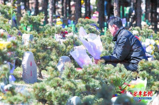 岛城墓地价格的一路飙升越发成为普通民众的负担.这是一位市民在扫墓.