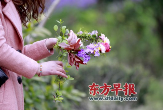 赏樱客顾村"看人海 不文明行为让园方连呼伤不起(组图)