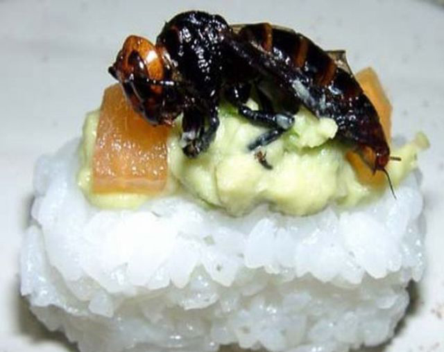 揭世界各地的重口味虫子大餐(组图)