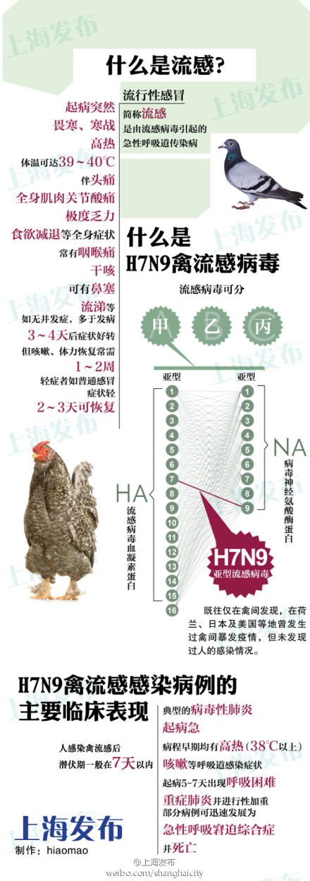 ϺͼH7N9