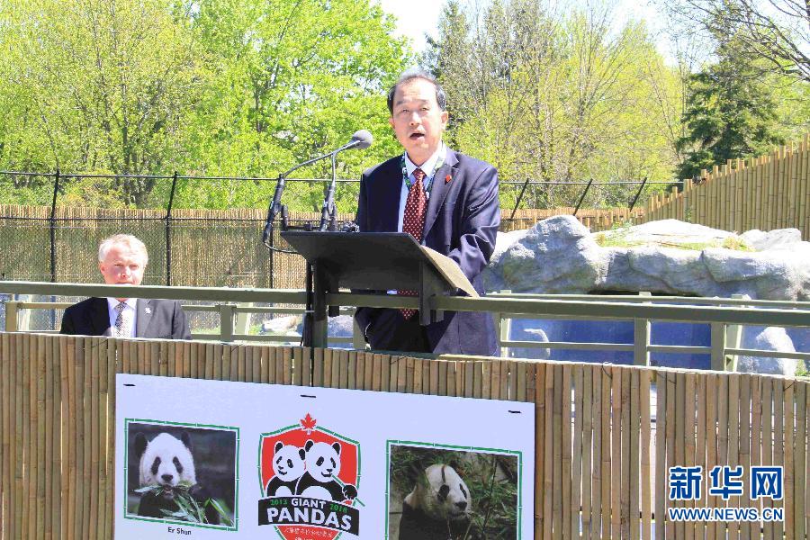 加拿大多伦多动物园举行大熊猫开展仪式(组图)