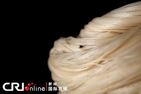 2013年4月10日，昆明，刚刚制作出的米线。图片来源：CFP