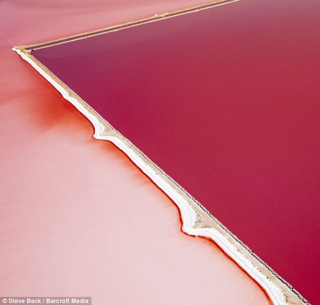 6686体育世界最大粉红色水藻农场：色彩迷人似油画(组图)(图2)