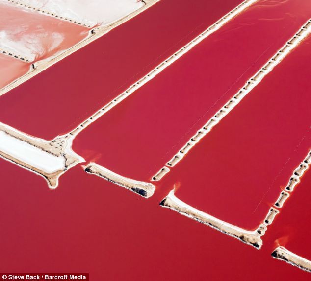 6686体育世界最大粉红色水藻农场：色彩迷人似油画(组图)(图4)