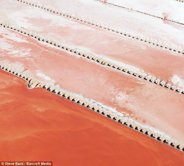 6686体育世界最大粉红色水藻农场：色彩迷人似油画(组图)(图5)