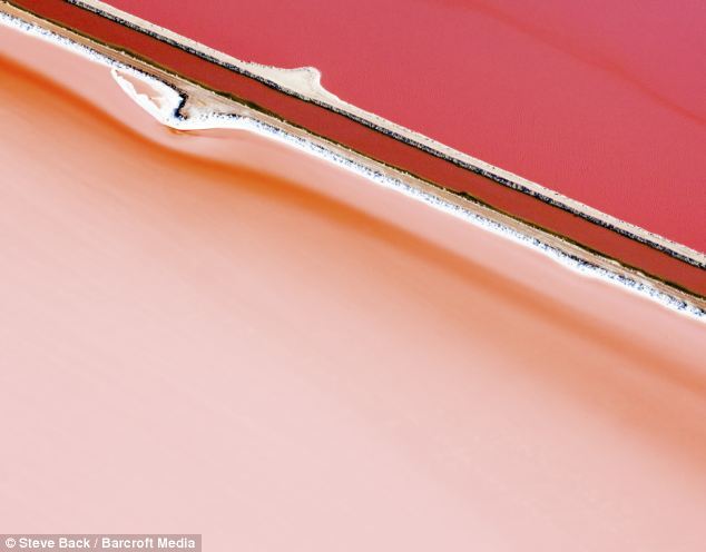 6686体育世界最大粉红色水藻农场：色彩迷人似油画(组图)(图7)
