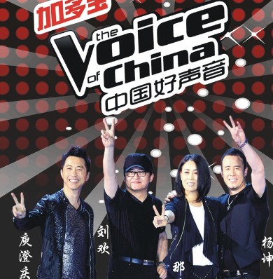 《中国好声音》海报。