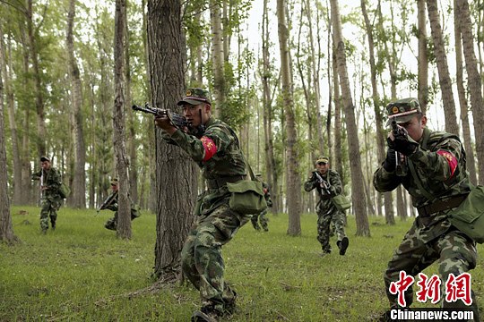 武警边防部队乌鲁木齐指挥学校的学员利用林带进行班队形搜索前进。韩广宁 摄