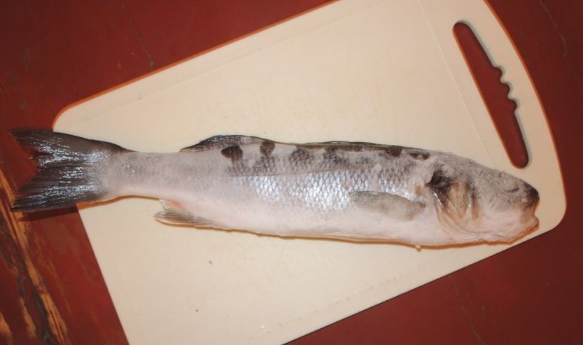 俄生物学家超市购物意外寻获罕见鱼舌寄生虫