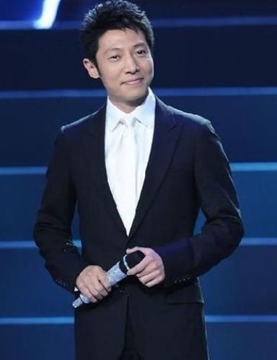 杨澜倪萍董卿领衔 揭秘春晚主播上位史