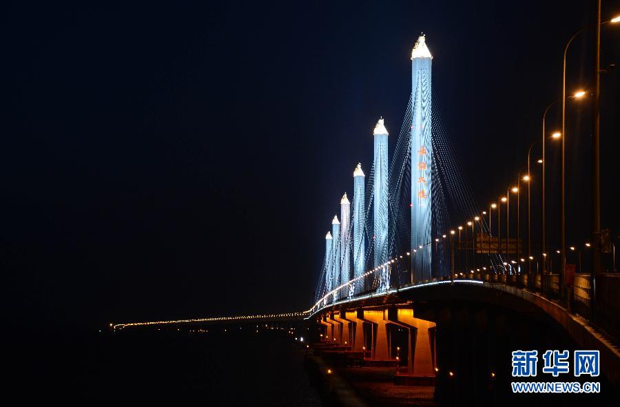 嘉绍大桥夜景图片图片