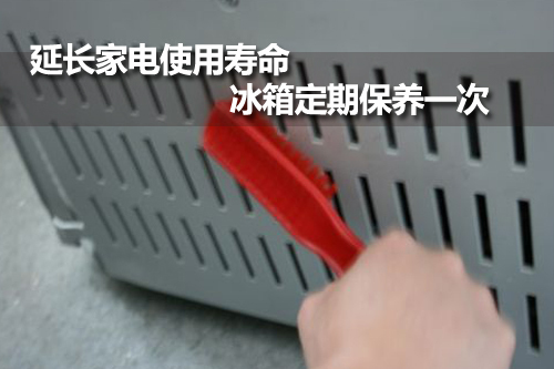 延长家电使用寿命 冰箱定期保养一次