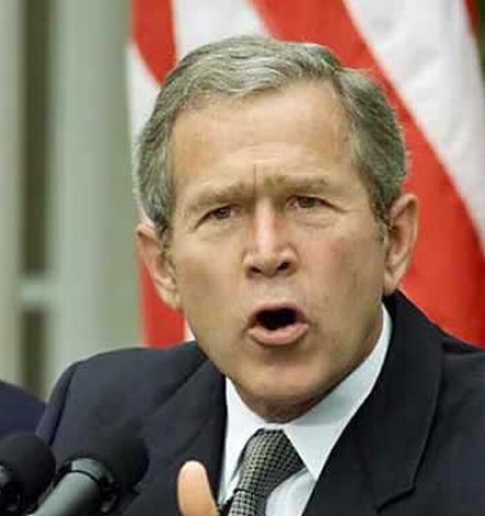 美国前总统小布什（资料图）