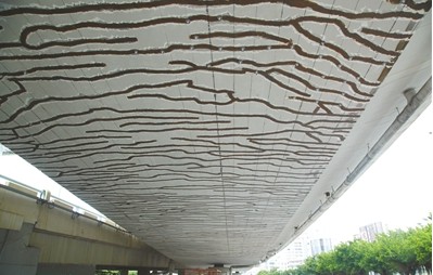 粤港澳跨海大桥断裂图片