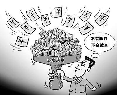 干部职务消费调查:某退休省级干部住院花300万(图)