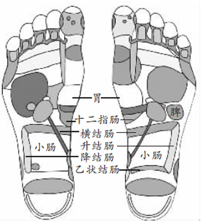 秋季胃腸疾病高發按摩足底調胃腸圖