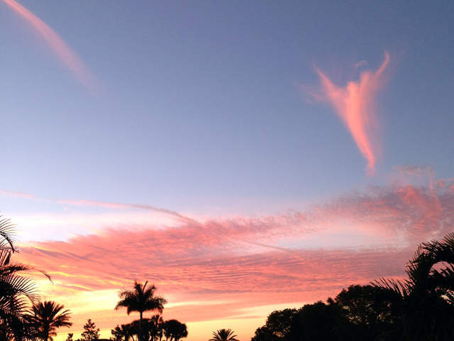 美國佛羅里達州的天空中出現了一片紅色的雲,形若張開雙翅的天使