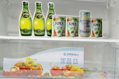 大品牌低价位 超值冰箱机型搜罗推荐