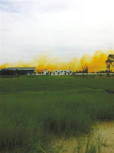 2013年3月，乐清市北白象镇“东方电镀基地”厂区排出刺鼻的黄烟。图/CFP