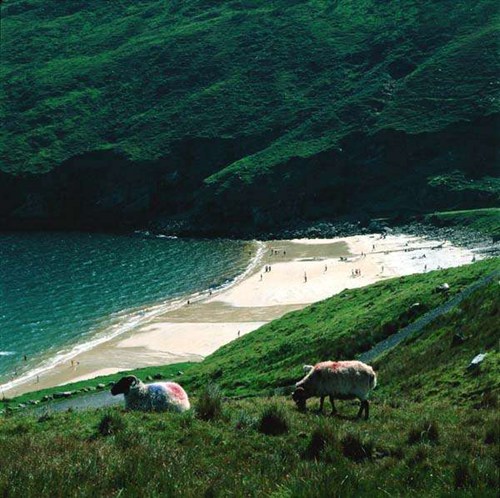 全球最美海島!抓住夏日尾巴領略大自然的風光(組圖)