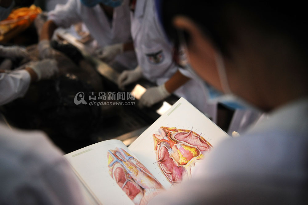 一种外观无色透明的甲醛水溶液,医学上用于解剖前完整地保存人体标本