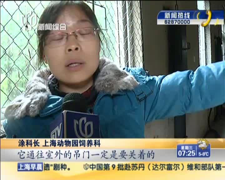 上海27岁饲养员照片图片
