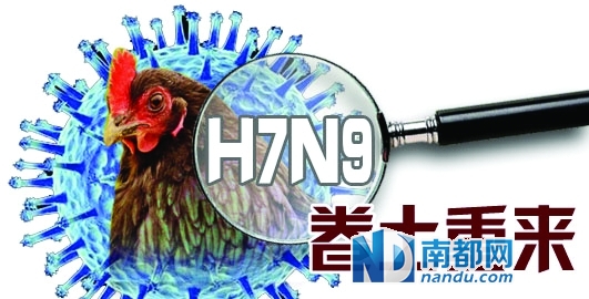 ϶Ѷʡίͨ1˸ȾH 7N 9ȷﲡ12ĵڶȷﲡĿǰ㶫ȫʡH 7N 95ˡ