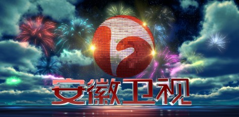 安徽卫视2012广告图片