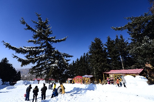 图文林海雪原中的冰雪冒险在滑雪场游玩