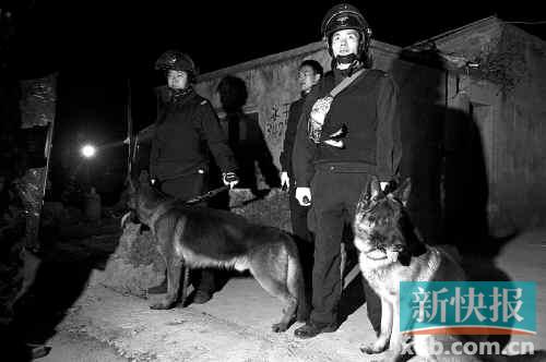 缉毒犬协助警方搜查毒品。