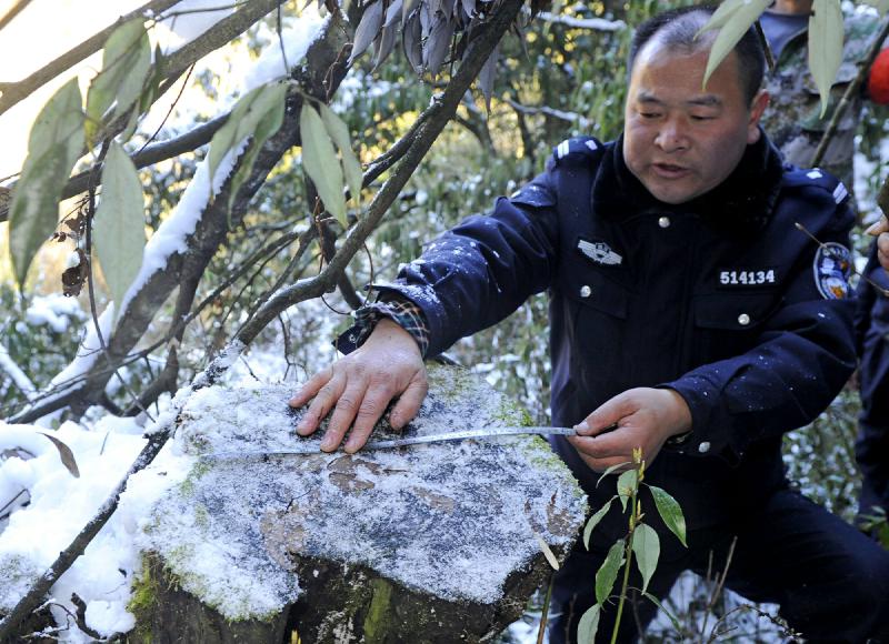 2013年12月17日,乐山市峨边黑竹沟森林派出所所长田晓军向记者展示被