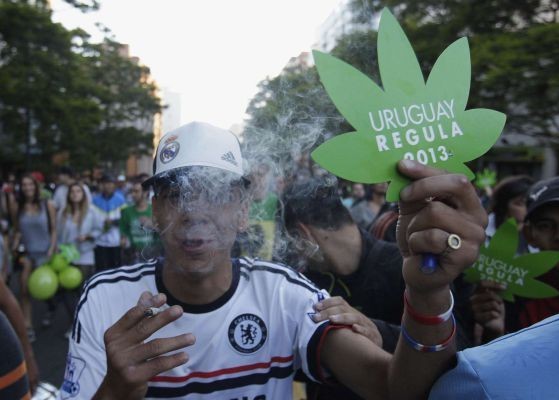 一名乌拉圭男子庆祝大麻交易合法化法案的通过