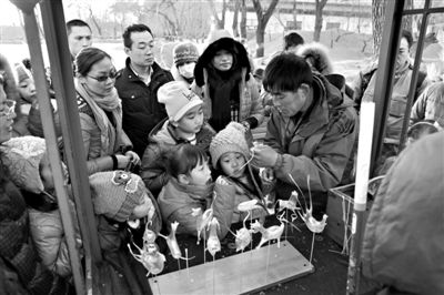 昨日，圆明园皇家庙会的一个糖人摊点前，一位小朋友正在摊主指导下体验吹糖人。