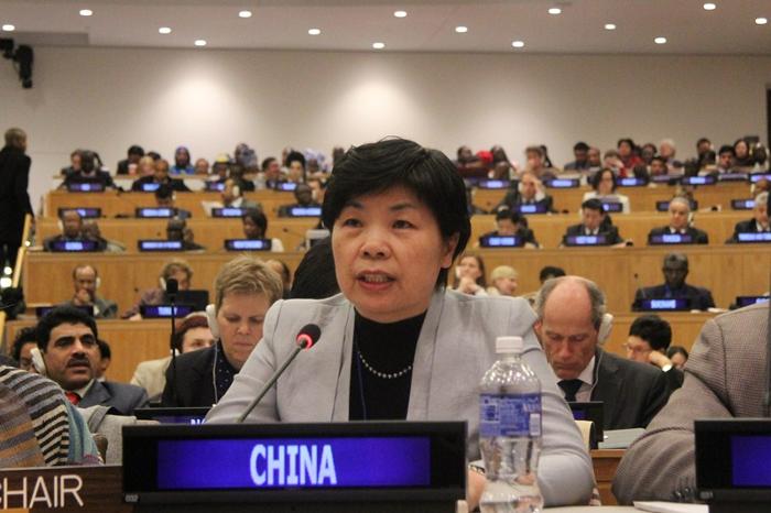 崔丽说,中国政府为落实国际人发大会《行动纲领》和千年发展目标