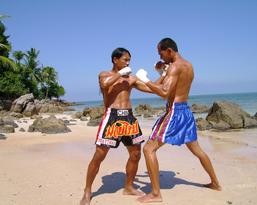 在苏梅岛四季度假酒店学习泰拳