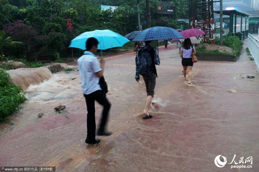深圳日降雨量破300毫米 人车过街如淌河