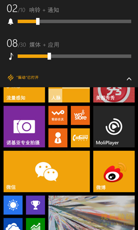 WP8.1ϵͳ