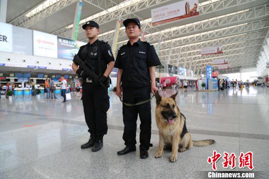 图为,警犬在武汉天河机场执勤.