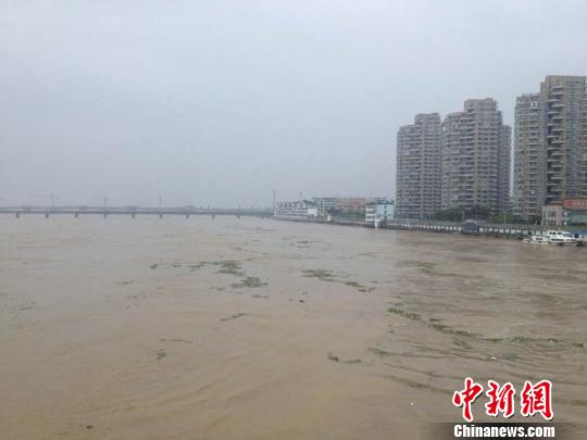 受暴雨影响，兰溪已成为一座“水城” 胡芳 摄