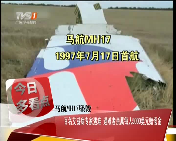 马航mh17艾滋病专家图片