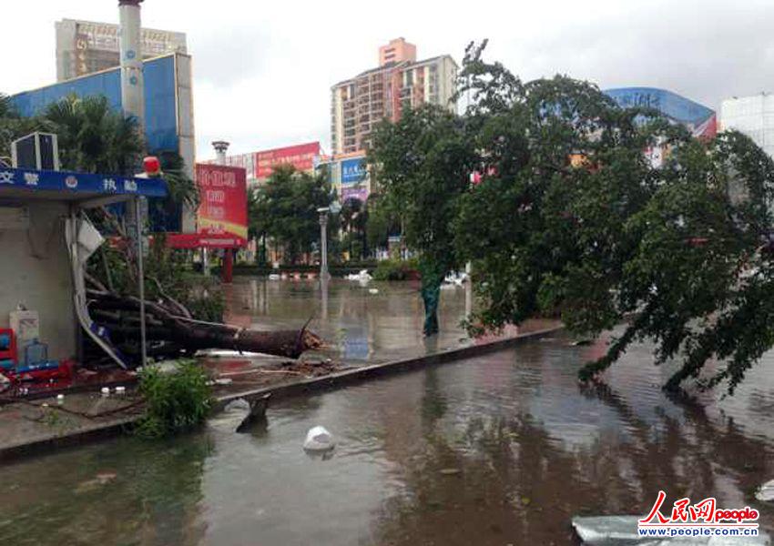 "威马逊"袭广西钦州道路严重受阻(组图)